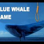  pool vs blue whale game