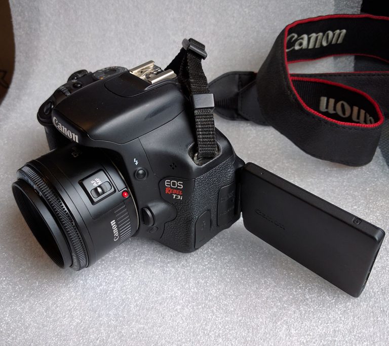 Top 3 Best Canon Camera with Flip Out Screen
