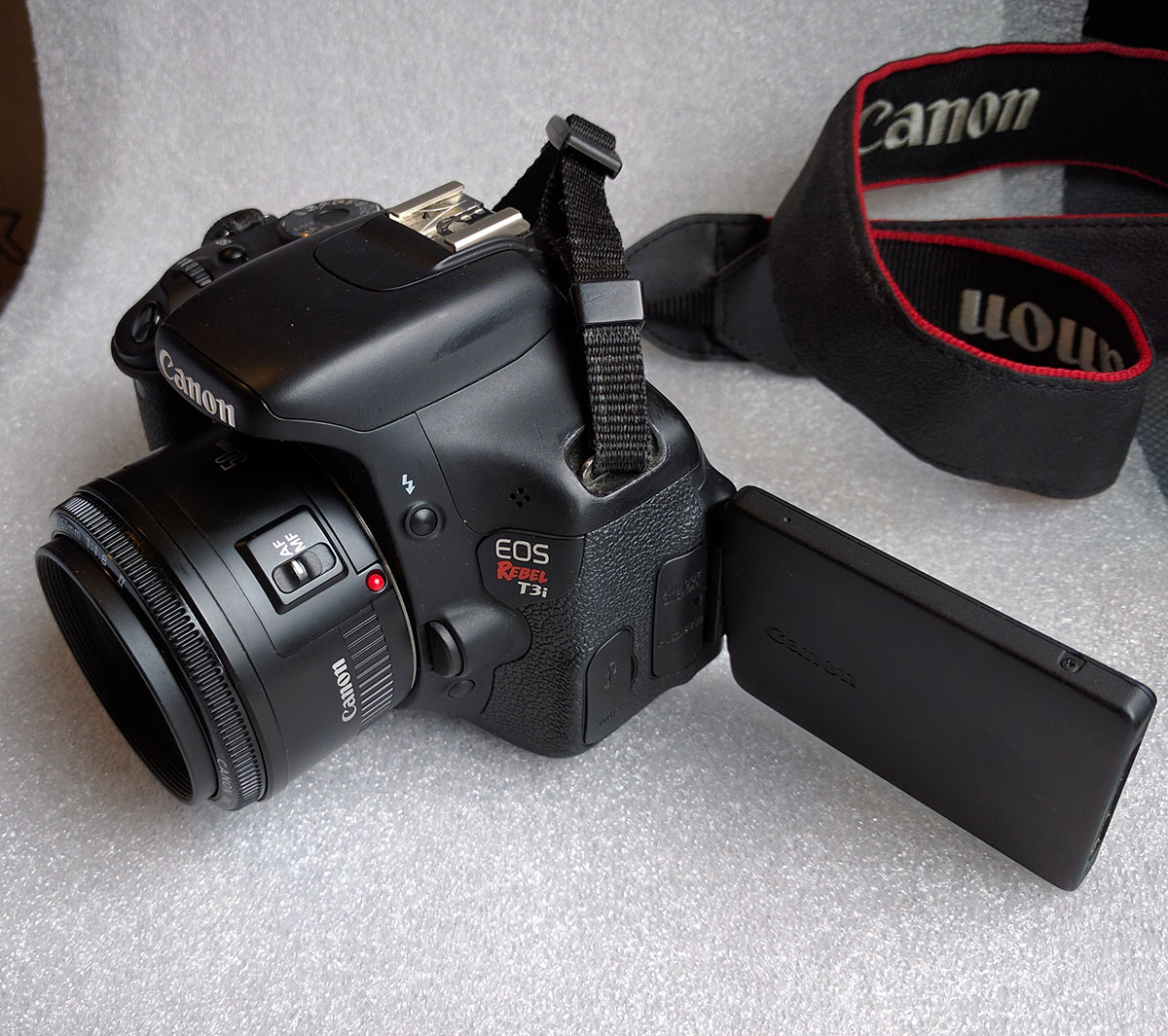 Canon Camera with Flip Out Screen