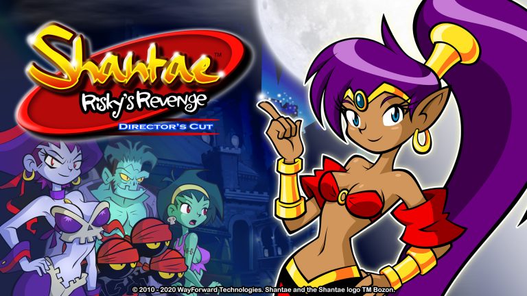 Shantae Risky S Revenge Director S Cut System Requirements